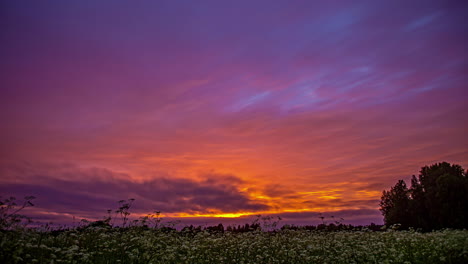 The-sunset-sky-changes-to-a-spectrum-of-colors-at-sundown-over-a-field-of-wildflowers---low-angle-time-lapse