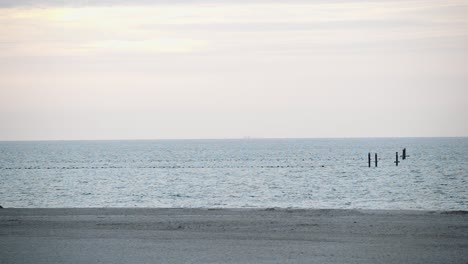 Wide-shot-over-a-deserted-sandy-beach-and-the-sea-with-buoys-demarcating-a-swimming-area