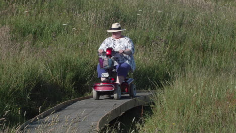 Women-on-mobility-scooter-moving-along-boardwalk-enjoying-wildflower-meadow