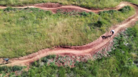 Mountain-bike-trail-with-rider-riding-down,-drone-top-down-shot-1