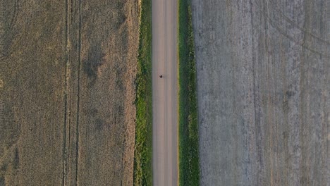 Aerial-top-down-tracking-shot-of-a-single-person-walking-along-an-empty-dirt-road-between-brown-grain-fields
