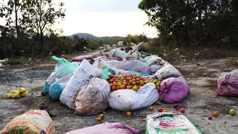 Desperdicio-De-Alimentos-De-Tomates-Asiáticos-En-Una-Gran-Bolsa-De-Plástico