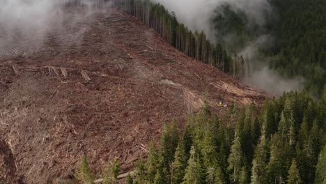 A-fresh-clearcut-with-logging-equipment-on-Vancouver-Island,-British-Columbia