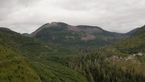 Una-Mezcla-De-Bosque-Primario,-Secundario-Y-Un-Bosque-Fresco-Talado-En-La-Isla-De-Vancouver,-Columbia-Británica