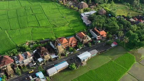Morning-traffic-through-a-small-village-in-Ubud-Bali-at-sunrise-surrounded-by-lush-green-rice-field,-aerial