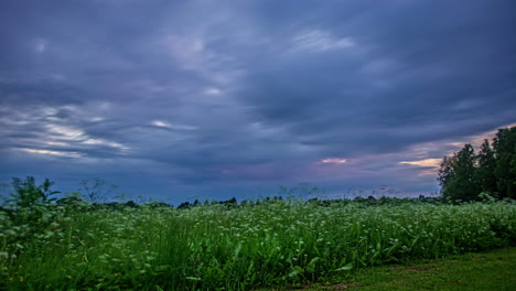 Low-angle-shot-of-dark-clouds-blowing-in-timelapse-over-green-grasslands-surrounded-by-trees-during-springtime