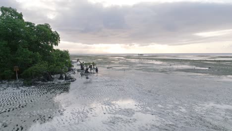 Playa-Walakiri-Isla-Sumba-Indonesia-Oriental-4