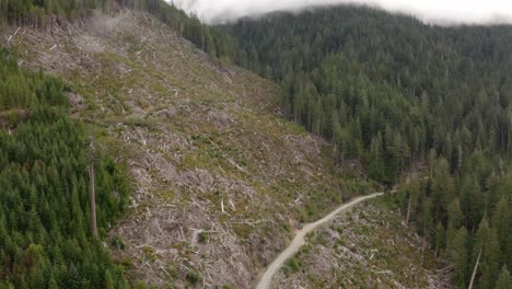 A-logging-clearcut-surrounded-by-an-old-growth-forest-near-Port-Renfrew,-British-Columbia