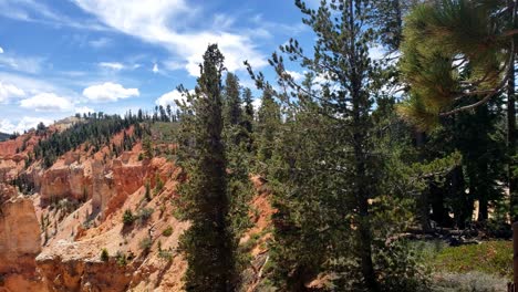 Scenic-viewpoint-at-Bryce-Canyon-National-Park
