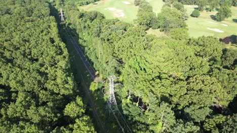 An-aerial-view-over-tall-green-trees-on-a-sunny-day-on-Long-Island,-NY
