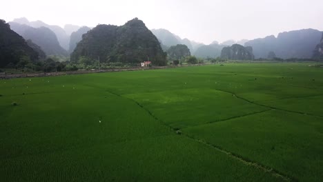 Fliegen-Sie-über-Reisfelder-In-Richtung-Der-Kalksteinkarste-Von-Tam-Coc
