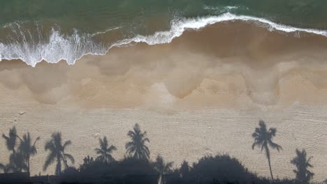Strandszene-An-Sonnigen-Tagen,-Schatten-Von-Kokospalmen-Auf-Sand