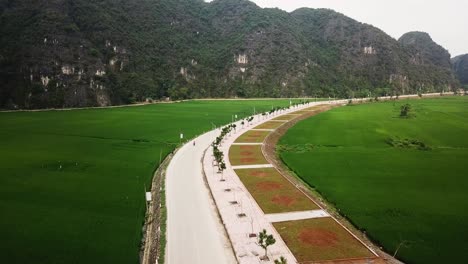 Vehicles-travelling-a-road-that-cuts-through-the-middle-of-rice-paddy-fields