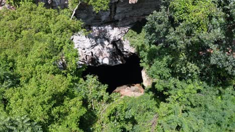 Drone-aerial-shot-of-the-cave-entrance-to-the-Enchanted-Well-or-Poço-Encantado-surrounded-by-tropical-trees-and-bees-flying-around-in-the-Chapada-Diamantina-National-Park-in-Northern-Brazil