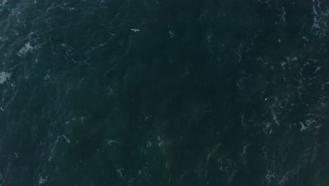 Drohnenschuss-Für-Die-Küste-In-Island-11