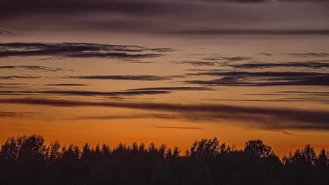 Herbage-Silhouette-Against-Cinematic-Sunset.-Time-lapse