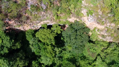 Rising-drone-aerial-shot-of-the-cave-entrance-to-the-Enchanted-Well-or-Poço-Encantado-surrounded-by-tropical-trees,-plants,-and-cliffs-in-the-Chapada-Diamantina-National-Park-in-Northern-Brazil