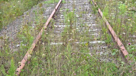 Eine-Menge-Vegetation-Bewegt-Sich-Unter-Dem-Windeffekt-Auf-Einer-Verlassenen-Eisenbahn
