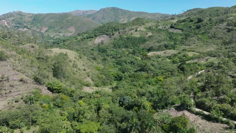 Reiche-Vegetation-An-Der-Dominikanisch-haitianischen-Grenze-In-Der-Nähe-Der-Stadt-Elias-Pina-In-Der-Dominikanischen-Republik