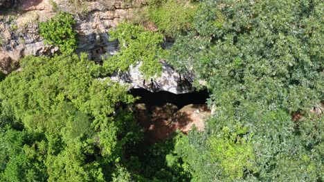 Aufsteigende-Drohnen-Luftaufnahme-Des-Höhleneingangs-Zum-Verzauberten-Brunnen-Oder-Poço-Encantado,-Umgeben-Von-Tropischen-Bäumen-Und-Herumfliegenden-Bienen-Im-Nationalpark-Chapada-Diamantina-Im-Norden-Brasiliens-1