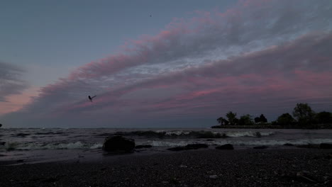 Timelapse-of-the-beach-at-sunset-and-pink-sky,-seagulls-catching-fish-as-darkness-falls,-time-lapse