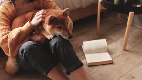 Woman-petting-her-shiba-inu-pet-while-sitting-on-the-floor-inside-her-home,-interrupted-while-reading-a-book-by-the-pet