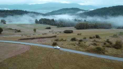 Aerial-shot-of-car-driving-on-empty-road-in-misty-forest