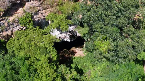 Drone-aerial-shot-of-the-cave-entrance-to-the-Enchanted-Well-or-Poço-Encantado-surrounded-by-tropical-trees,-plants,-and-cliffs-in-the-Chapada-Diamantina-National-Park-in-Northern-Brazil