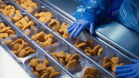 Chicken-nuggets-production-line-2