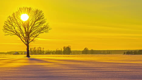 A-bright-yellow-sunset-over-a-field-of-snow-and-a-lone-tree---time-lapse