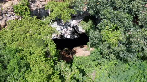 Rising-drone-aerial-shot-of-the-cave-entrance-to-the-Enchanted-Well-or-Poço-Encantado-surrounded-by-tropical-trees-and-bees-flying-around-in-the-Chapada-Diamantina-National-Park-in-Northern-Brazil