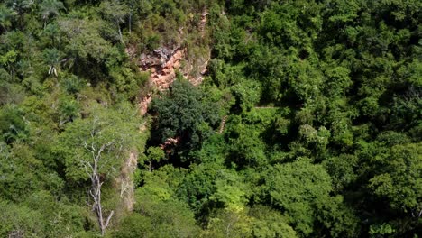 Rotating-drone-aerial-shot-of-the-cave-entrance-to-the-Enchanted-Well-or-Poço-Encantado-surrounded-by-tropical-trees,-plants,-and-cliffs-in-the-Chapada-Diamantina-National-Park-in-Northern-Brazil