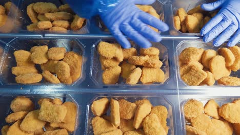 Chicken-nuggets-production-line-1
