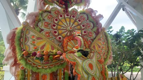 Junkanoo-Bahamas-Gefiedertes-Traditionelles-Kostüm-Für-Straßenparade-Und-Karibische-Weihnachtszeremonie-Oder-Tanz