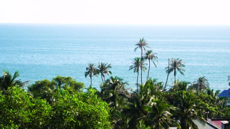 Tropische-Palmen-Und-Blaues-Meer-Vom-Strandhotel-Im-Sommer-In-Vietnam