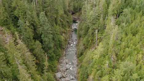 A-river-cuts-through-an-old-growth-forest