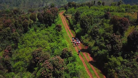 Backpackers-Walking-Through-Wilderness-Track-Passing-Dense-Forest-In-Mount-Elgon-Trek,-Kenya-Africa