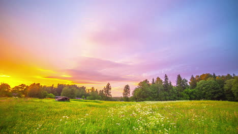 Wildflowers-In-The-Meadow-With-Colorful-Sky-At-Summer