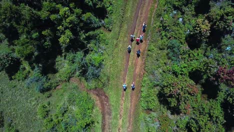Backpackers-On-The-Mountain-Hike-Trails-In-The-Exotic-Forest-Land-Through-Mount-Elgon,-East-Africa