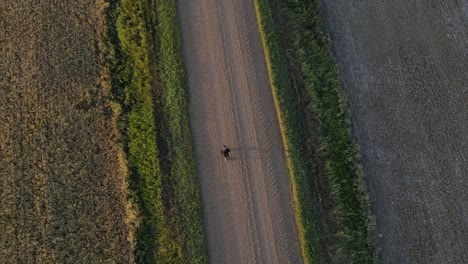 Young-man-on-an-evening-walk-along-a-straight-and-dusty-country-road-in-rural-Alberta