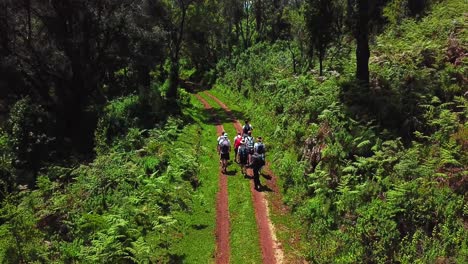Group-Of-Hikers-On-Mountain-Tracks-Passing-Through-Shaggy-Forest-In-Mount-Elgon-National-Park-In-Kenya,-East-Africa