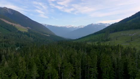 Immergrüne-Bäume-Und-Berge-Entlang-Der-Route-Des-Highway-99-In-Pemberton,-Vancouver,-BC,-Kanada