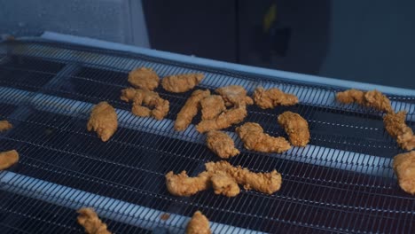 Production-of-chicken-strips,-nuggets-and-fillets,-breading-at-the-factory