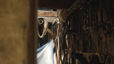 Equestrian-tools-and-equipment-hang-on-the-wall-of-a-rustic-western-horse-barn