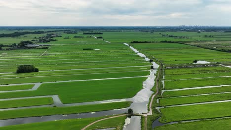 High-aerial-panning-shot-of-a-polder-land-with-many-canals-and-waterways-cutting-through-farm-field-in-the-rural-Krimpenerwaard-region-of-the-Netherlands