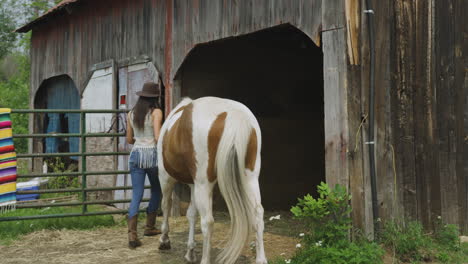 Confident-and-stylish-young-rider-leads-her-pinto-horse-into-a-horse-barn,-tethering-the-horse-to-the-wall