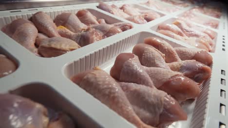 Chicken-processing-line-at-poultry-farm-2