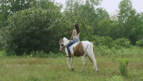 Trained-young-cowgirl-rides-her-adult-pinto-horse-through-a-grassy-field