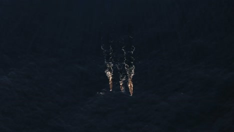 Tres-Ballenas-Nadando-Juntas-En-Una-Línea-Perfecta-En-La-Superficie-Del-Océano-Cerca-De-Madeira