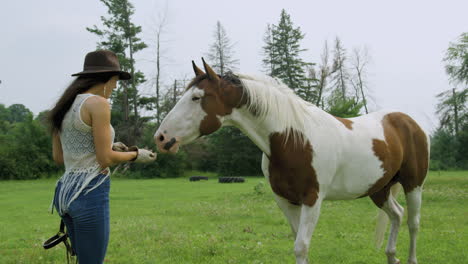 Young-adult-cowgirl-approaches-a-calm-pinto-horse-in-a-field,-feeds-and-pets-the-horse